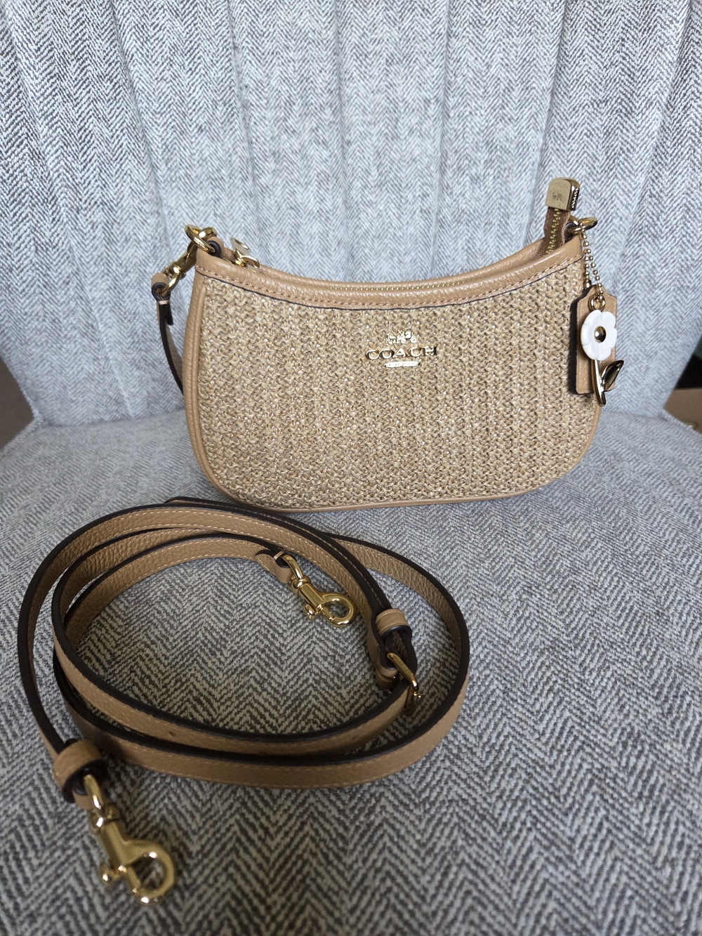 Coach Mini Teri Straw Crossbody Bag CDW66